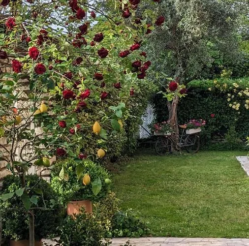 Agli Aceri לינה וארוחת בוקר