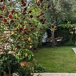 Agli Aceri Bed & Breakfast