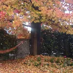 Bed and breakfast Agli Aceri