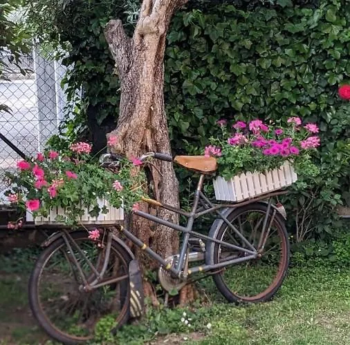 Alojamento de Acomodação e Pequeno-almoço Agli Aceri