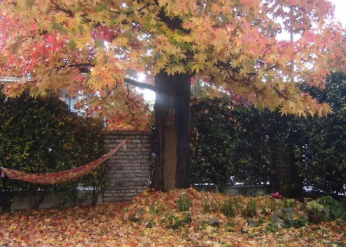 Bed & Breakfast Agli Aceri