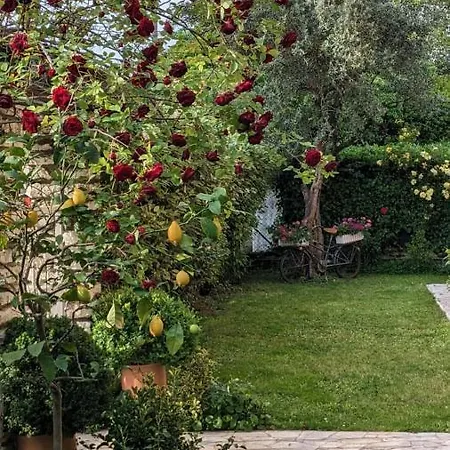 Bed & Breakfast Agli Aceri Bed & Breakfast